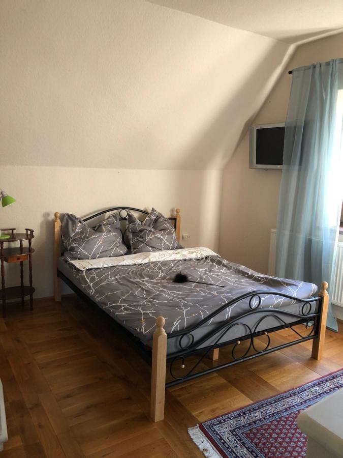 Ferienhaus Mit Pool Zum Traeumen Und Entspannen Fuer Alle Sinne Bad Schmiedeberg Dış mekan fotoğraf